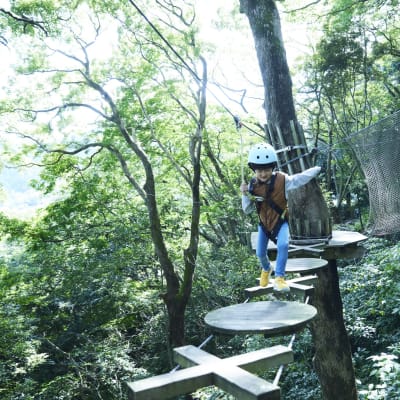 森の空中散歩