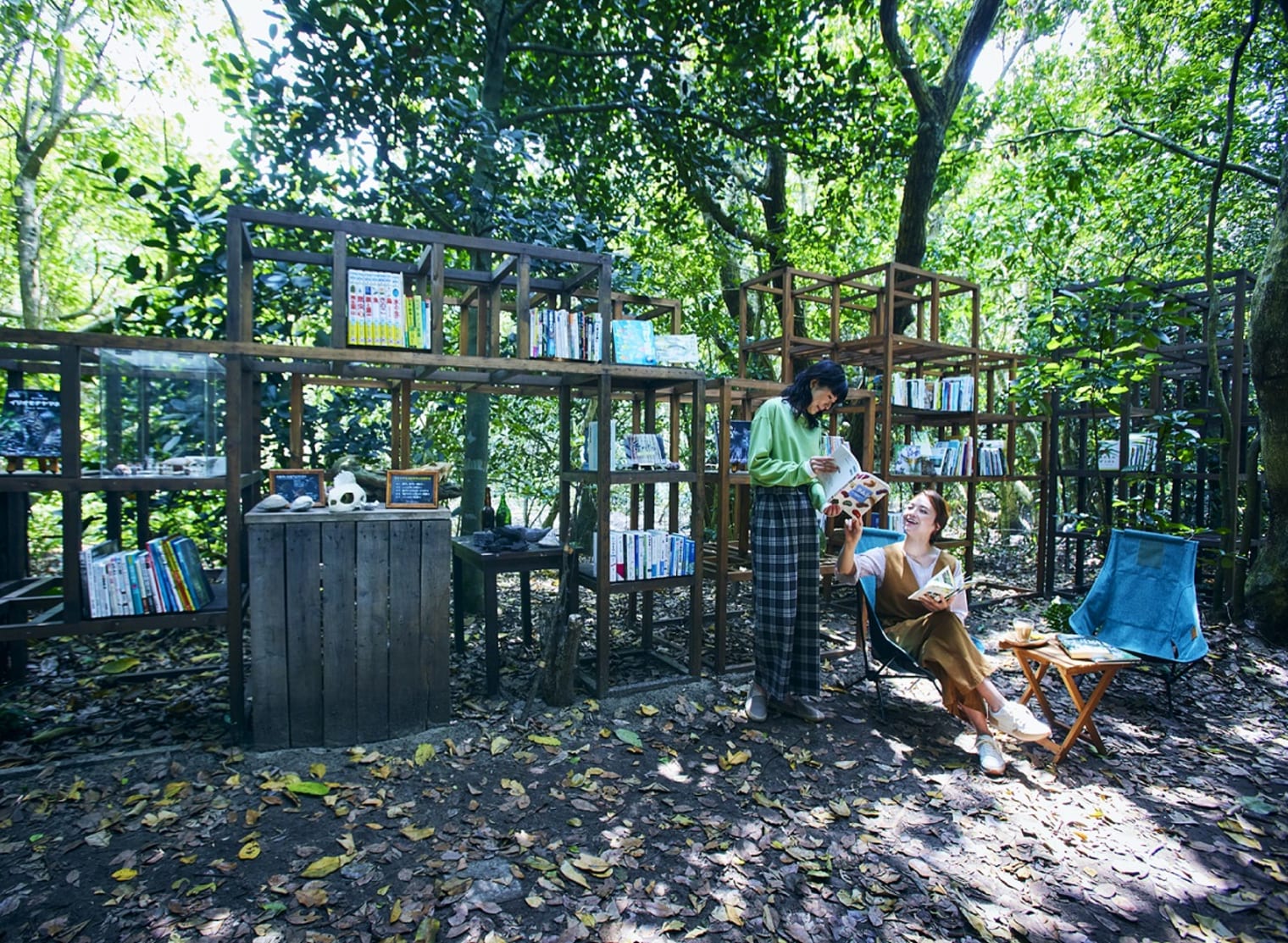 イリオモテジャングル図書館 | 西表島ホテル by 星野リゾート【公式