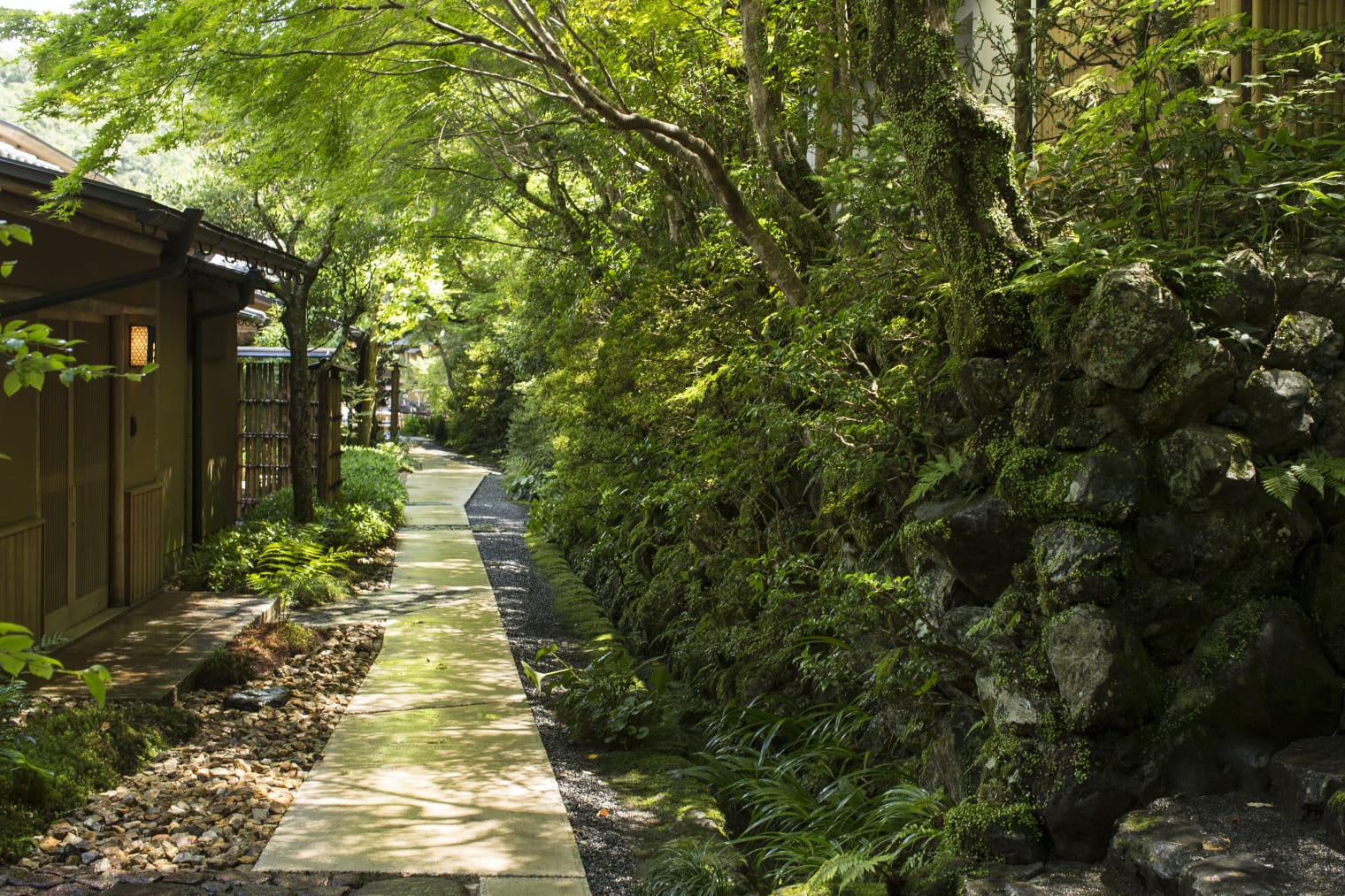 800775cc-a359-4421-851b-dea56d1f4954