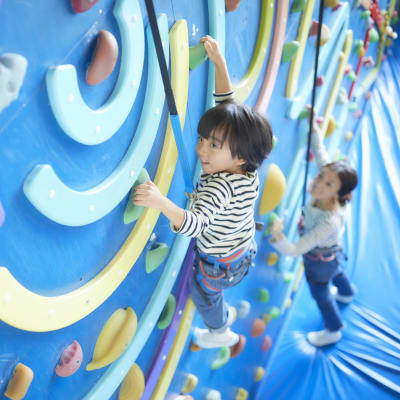 Climbing Wall