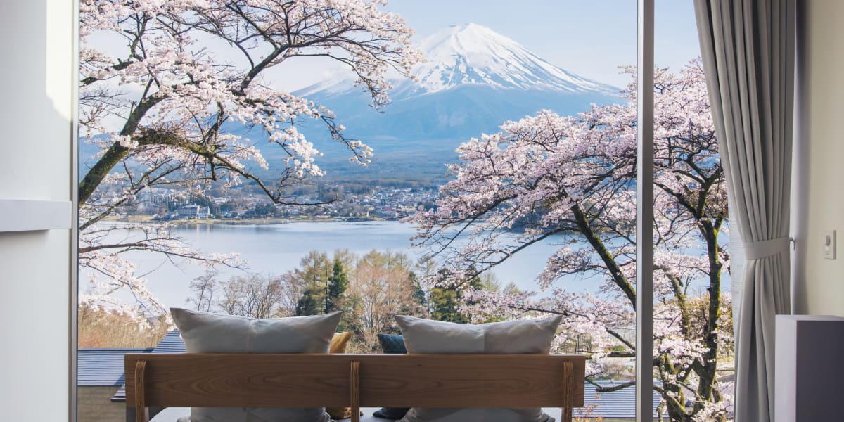 花季來還有機會賞花＋富士山。