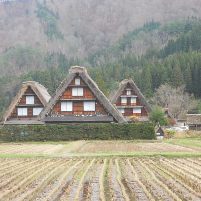 白川郷