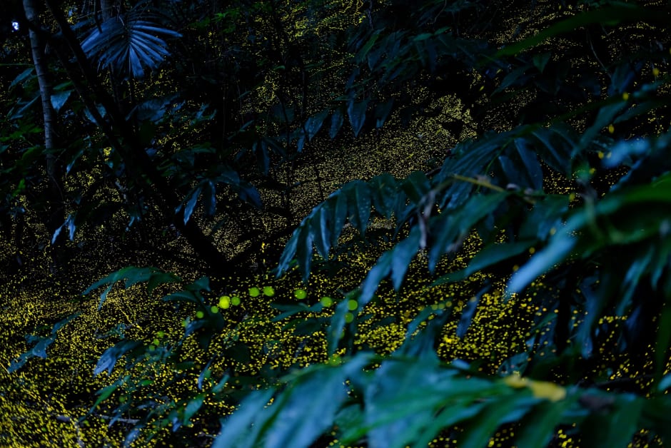 b54b348b-c52f-441b-b6bc-9fbdc5f0e8e7