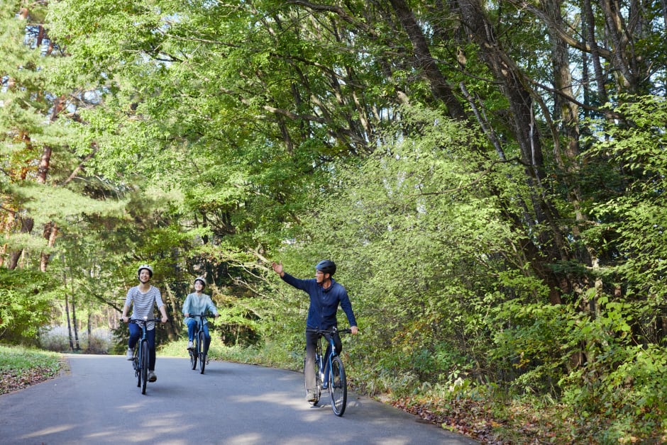 aa213e1e-abe5-4c17-869b-7d7cd260406a