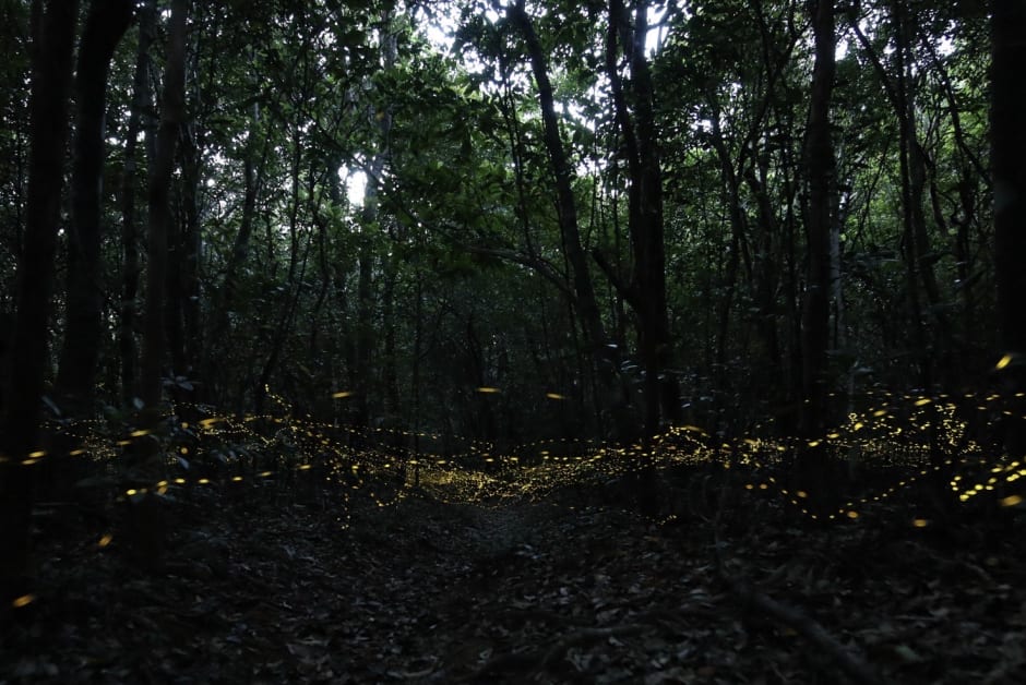 f0ad8fde-38da-408d-87bd-fc8d49dc9b6a