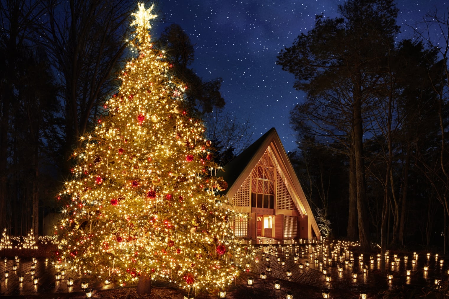 星降る森のクリスマス　☆絵画 軽井沢高原教会 星降る森のクリスマス