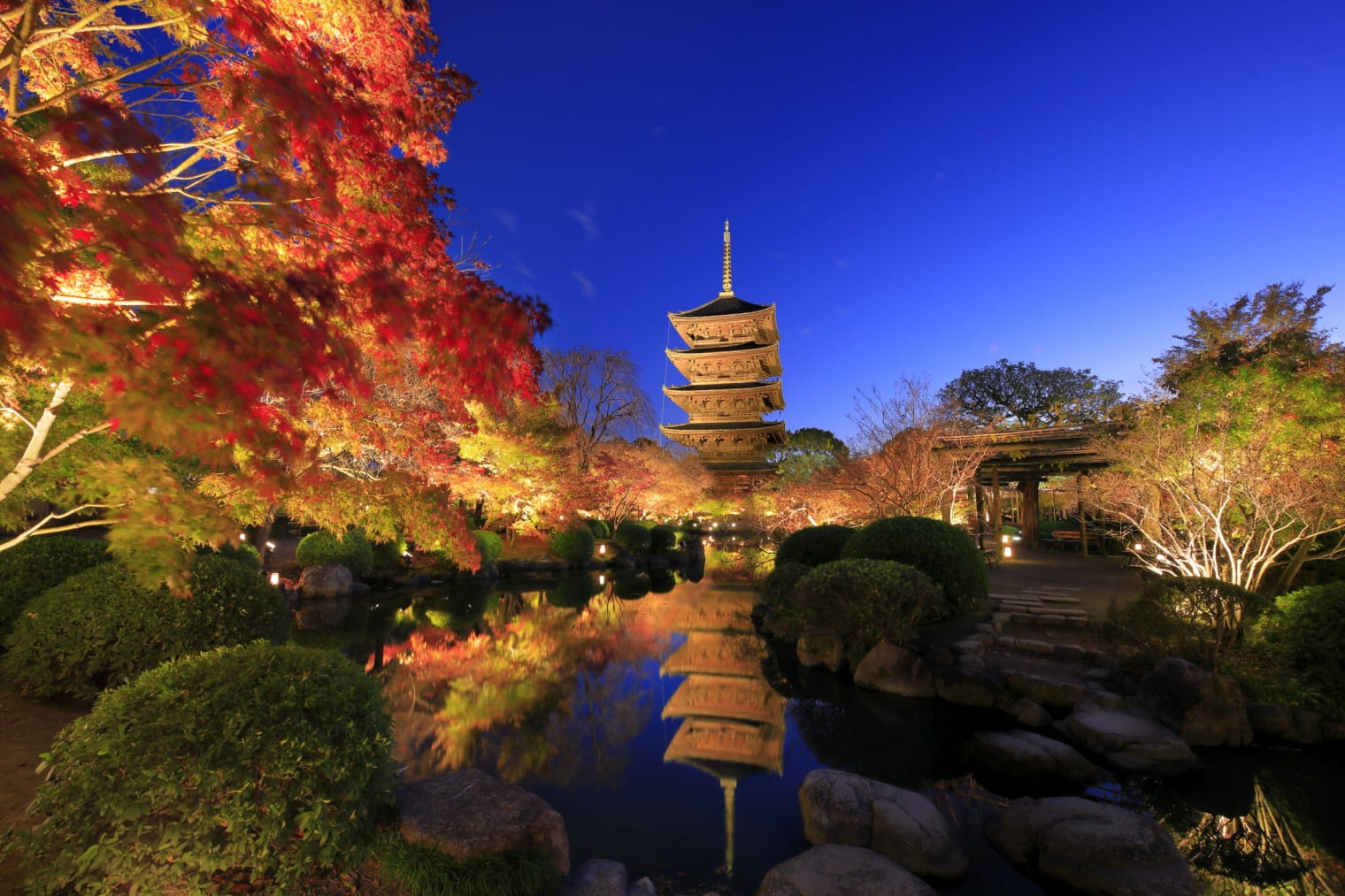 ゆらさん　皇居二重橋、姫路城、京都東寺の三点セット 世界遺産「東寺」夜桜ライトアップさんぽ | OMO3京都東寺 by