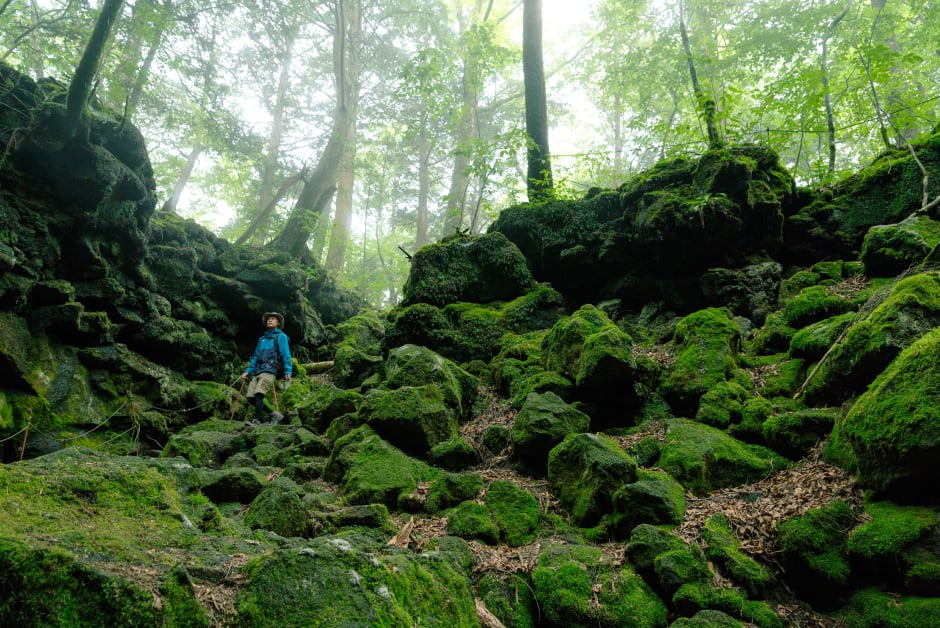 a9039157-29f8-4360-88b8-2928764bd6cf