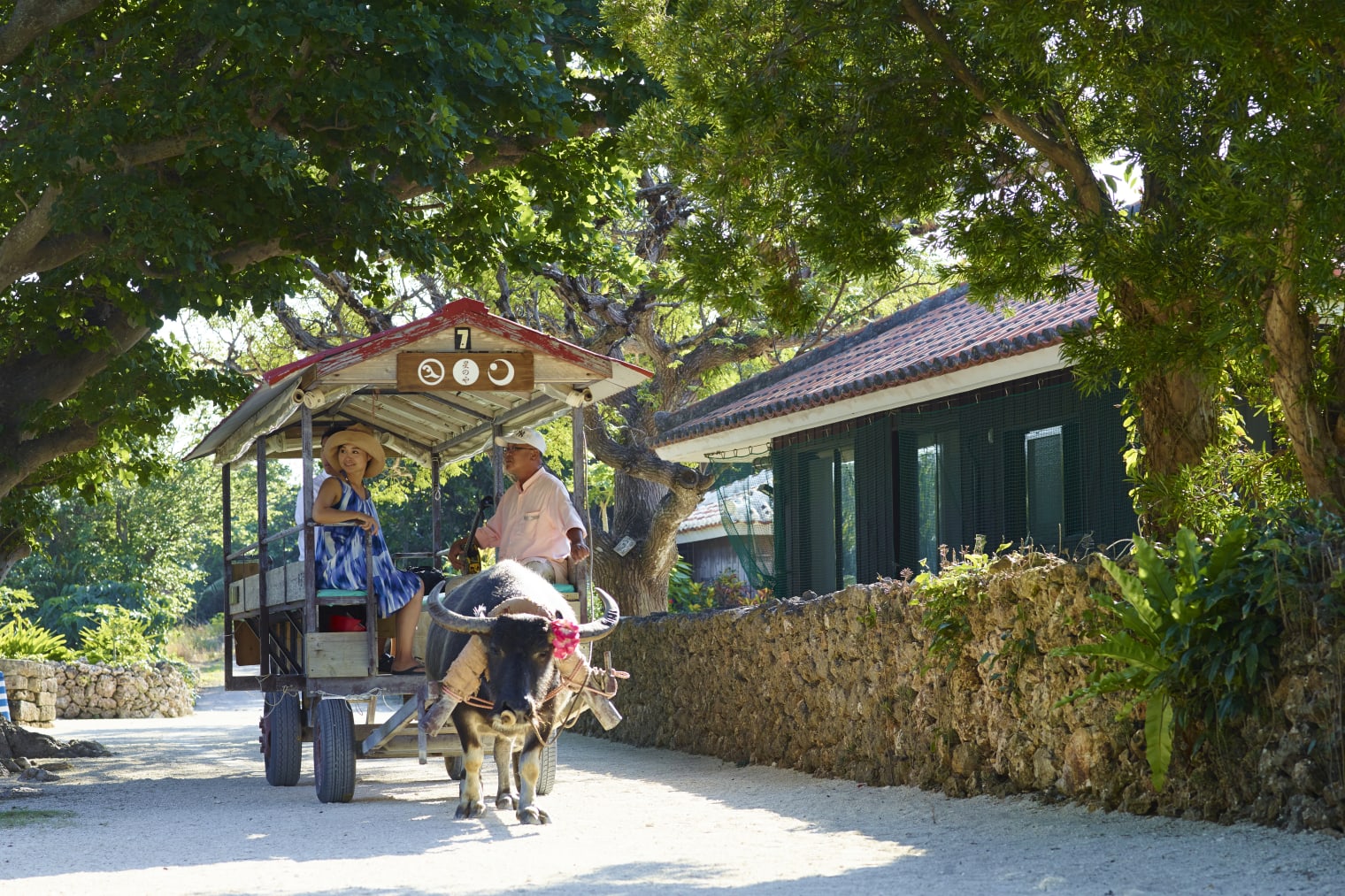 99516f60-2c5b-4c90-a2c3-3728e05182e0