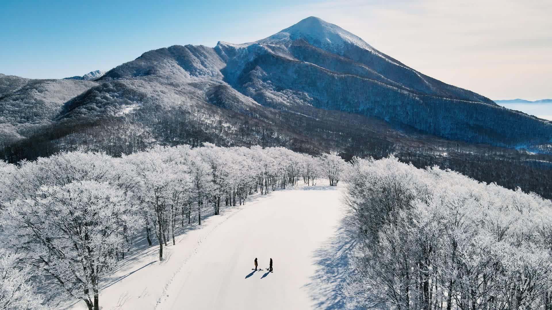 コンセプトムービーを見る